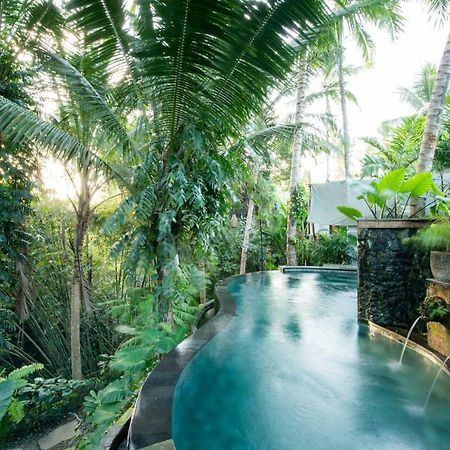 Ubud Tropical Exterior photo